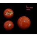 🌟Coral珊寶手作-天然阿卡珊瑚/momo珊瑚圓珠裸石 7.1-9.8mm CO2P1-111-規格圖11