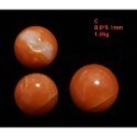 🌟Coral珊寶手作-天然阿卡珊瑚/momo珊瑚圓珠裸石 7.1-9.8mm CO2P1-111-規格圖11