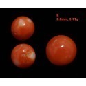 🌟Coral珊寶手作-天然阿卡珊瑚/momo珊瑚圓珠裸石 7.1-9.8mm CO2P1-111-規格圖11