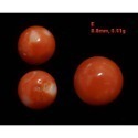 🌟Coral珊寶手作-天然阿卡珊瑚/momo珊瑚圓珠裸石 7.1-9.8mm CO2P1-111-規格圖11
