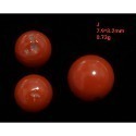 🌟Coral珊寶手作-天然阿卡珊瑚/momo珊瑚圓珠裸石 7.1-9.8mm CO2P1-111-規格圖11