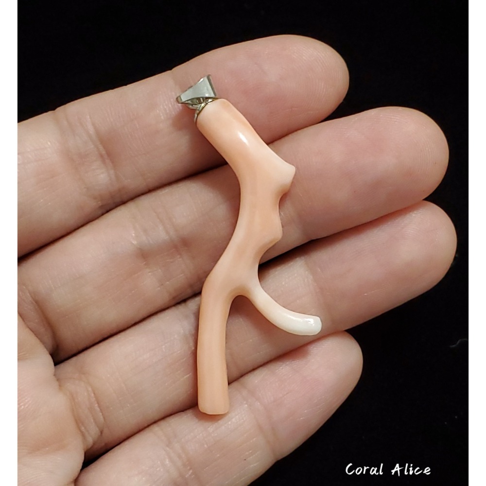 🌟Coral珊寶手作-天然淺水珊瑚自然枝項墜 45.5mm CO2P1-107-細節圖4
