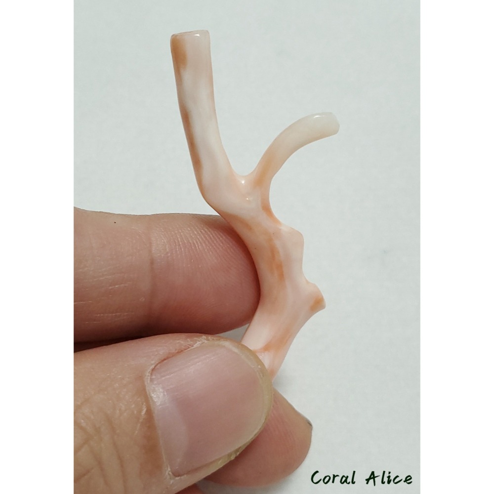 🌟Coral珊寶手作-天然淺水珊瑚自然枝項墜 45.5mm CO2P1-107-細節圖6