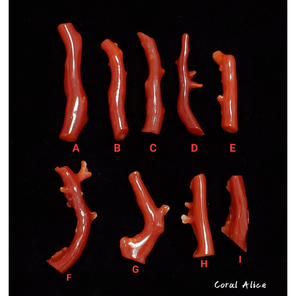 🌟Coral珊寶手作-天然阿卡珊瑚自然枝(無孔) 19.3-33.1mm CO2P1-094-細節圖3