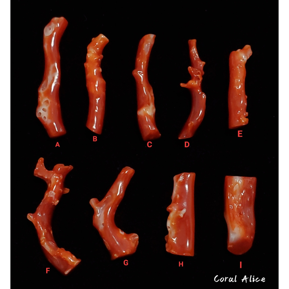 🌟Coral珊寶手作-天然阿卡珊瑚自然枝(無孔) 19.3-33.1mm CO2P1-094-細節圖4