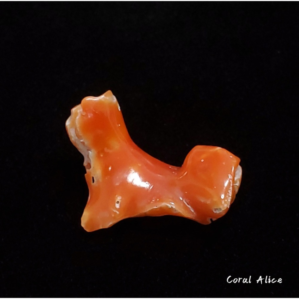 🌟Coral珊寶手作-天然阿卡珊瑚自然枝塊 29.2mm CO2P1-095-細節圖2