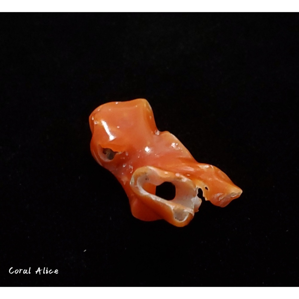 🌟Coral珊寶手作-天然阿卡珊瑚自然枝塊 29.2mm CO2P1-095-細節圖4