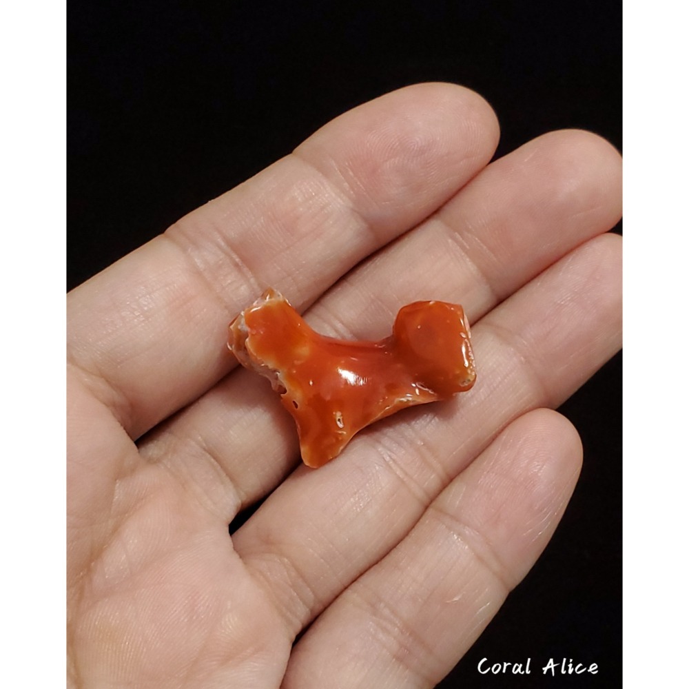 🌟Coral珊寶手作-天然阿卡珊瑚自然枝塊 29.2mm CO2P1-095-細節圖5