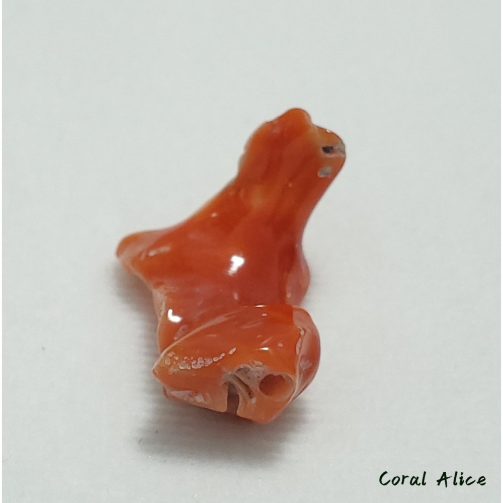 🌟Coral珊寶手作-天然阿卡珊瑚自然枝塊 29.2mm CO2P1-095-細節圖6