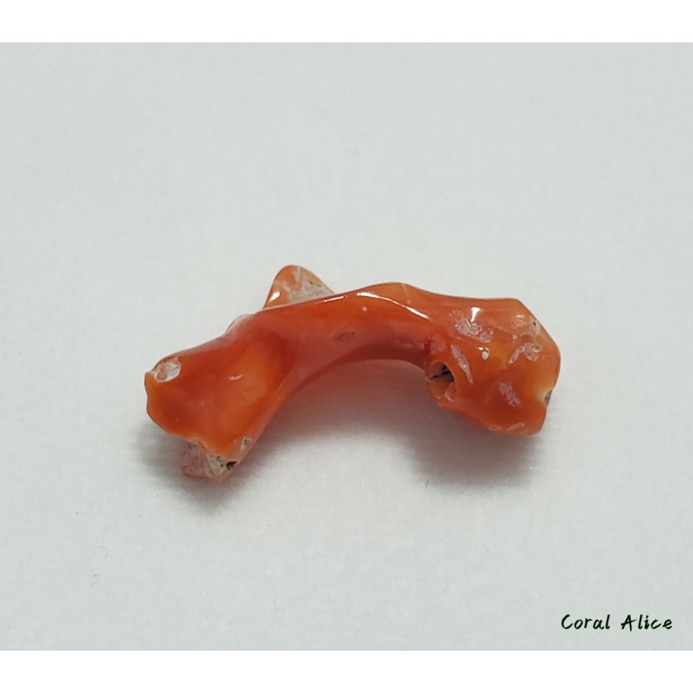 🌟Coral珊寶手作-天然阿卡珊瑚自然枝塊 29.2mm CO2P1-095-細節圖7