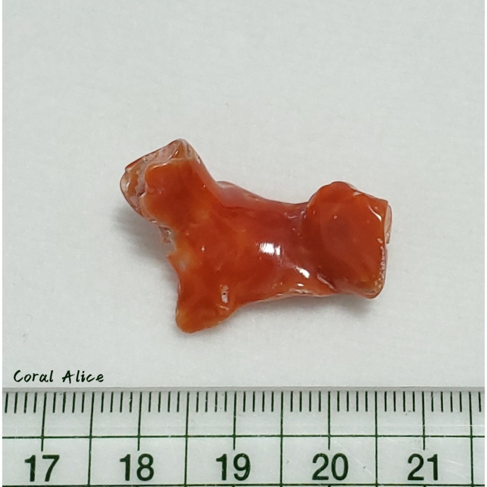 🌟Coral珊寶手作-天然阿卡珊瑚自然枝塊 29.2mm CO2P1-095-細節圖8