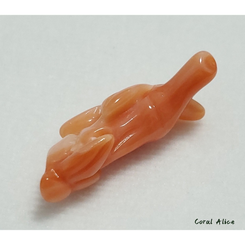 🌟Coral珊寶手作-天然深水珊瑚手工雕刻件(無孔) 29.2mm CO2P1-096-細節圖5