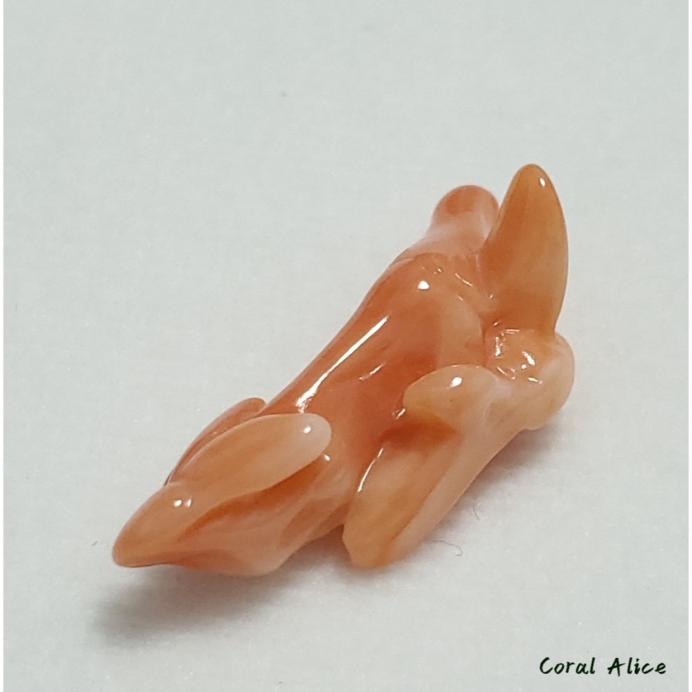 🌟Coral珊寶手作-天然深水珊瑚手工雕刻件(無孔) 29.2mm CO2P1-096-細節圖6