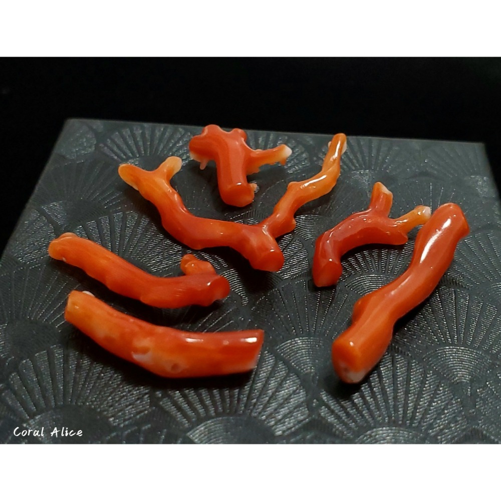 🌟Coral珊寶手作-天然阿卡珊瑚自然枝 CO2P1-085-細節圖2