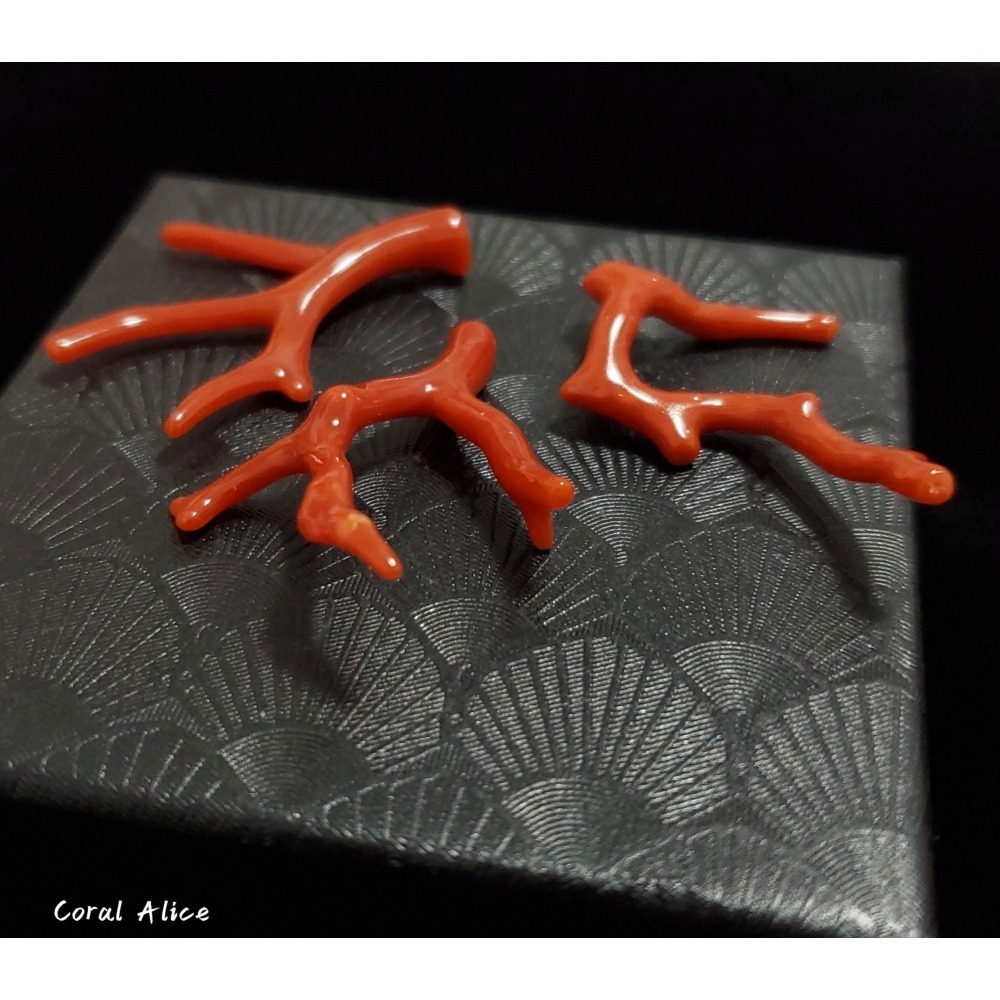 🌟Coral珊寶手作-天然沙丁珊瑚自然枝(無孔) 36.3-40.1mm CO2P1-204-細節圖2