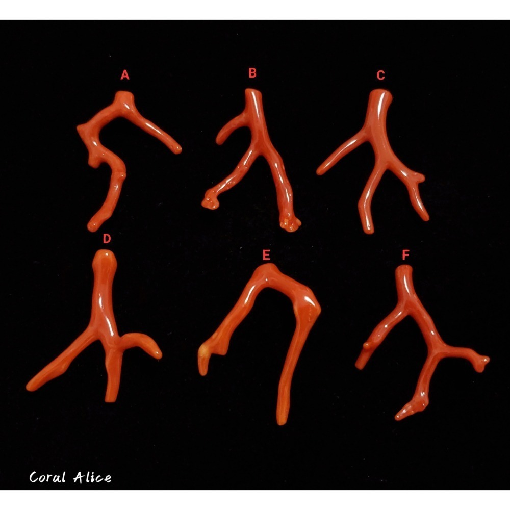 🌟Coral珊寶手作-天然沙丁珊瑚自然枝(無孔) 36.3-40.1mm CO2P1-204-細節圖3