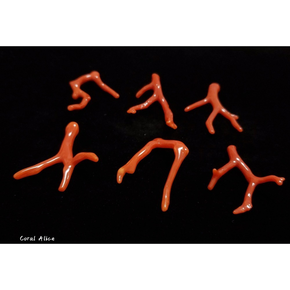 🌟Coral珊寶手作-天然沙丁珊瑚自然枝(無孔) 36.3-40.1mm CO2P1-204-細節圖4