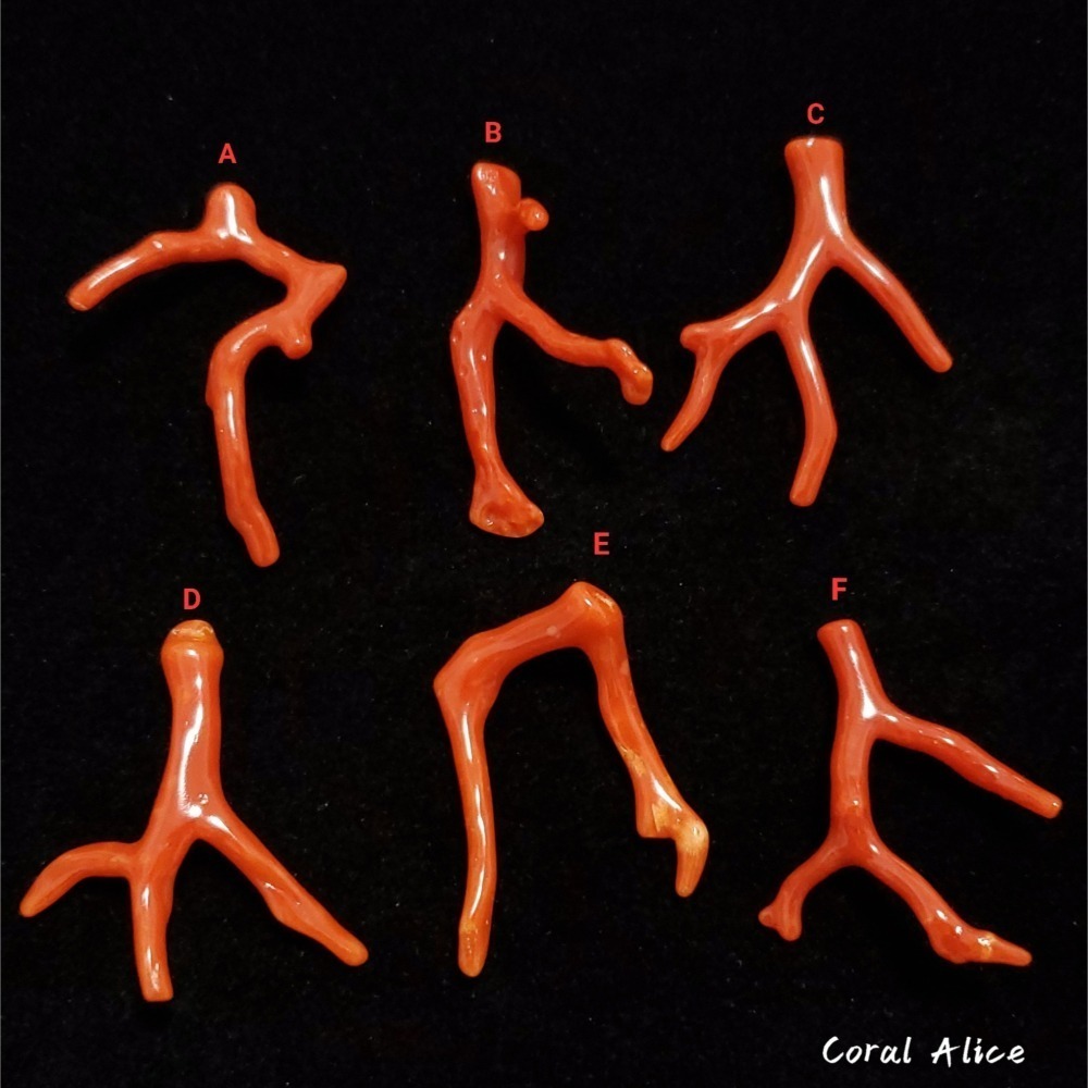 🌟Coral珊寶手作-天然沙丁珊瑚自然枝(無孔) 36.3-40.1mm CO2P1-204-細節圖5