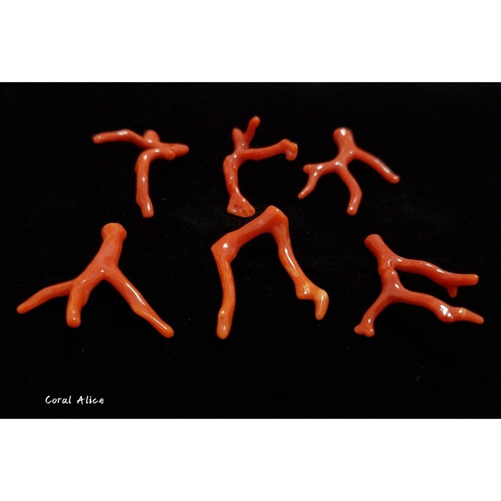 🌟Coral珊寶手作-天然沙丁珊瑚自然枝(無孔) 36.3-40.1mm CO2P1-204-細節圖6