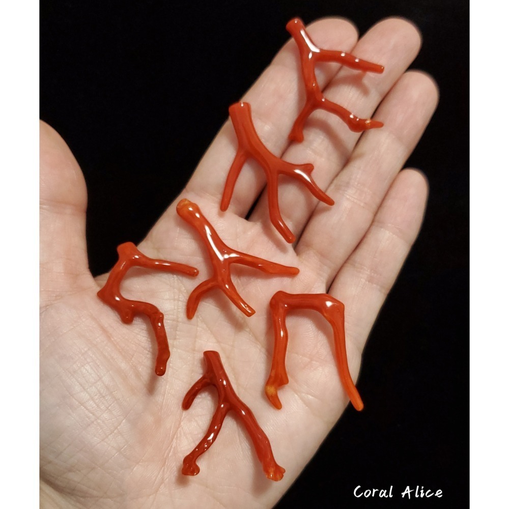 🌟Coral珊寶手作-天然沙丁珊瑚自然枝(無孔) 36.3-40.1mm CO2P1-204-細節圖7