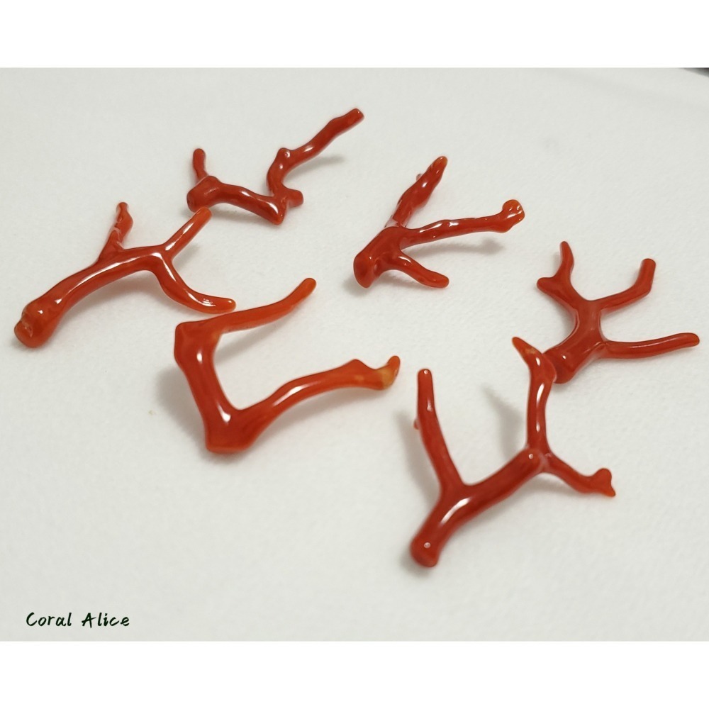 🌟Coral珊寶手作-天然沙丁珊瑚自然枝(無孔) 36.3-40.1mm CO2P1-204-細節圖8