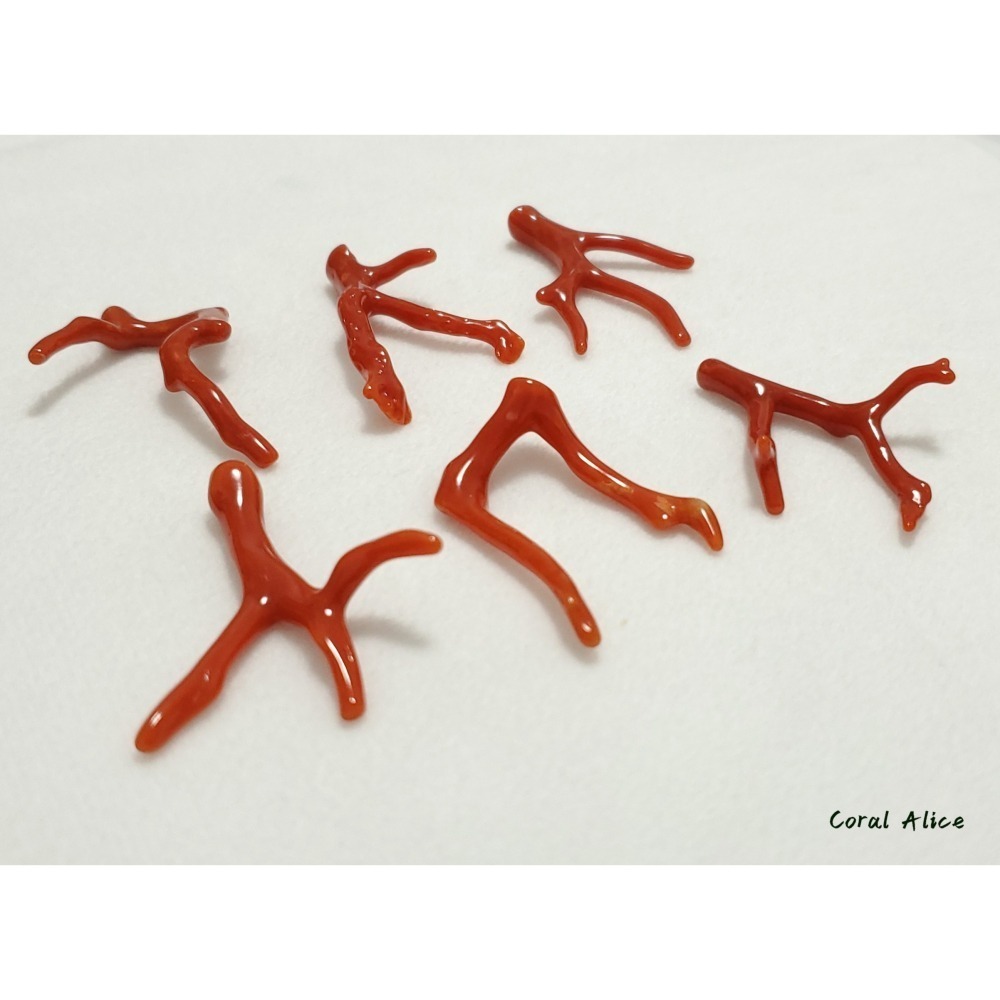🌟Coral珊寶手作-天然沙丁珊瑚自然枝(無孔) 36.3-40.1mm CO2P1-204-細節圖10