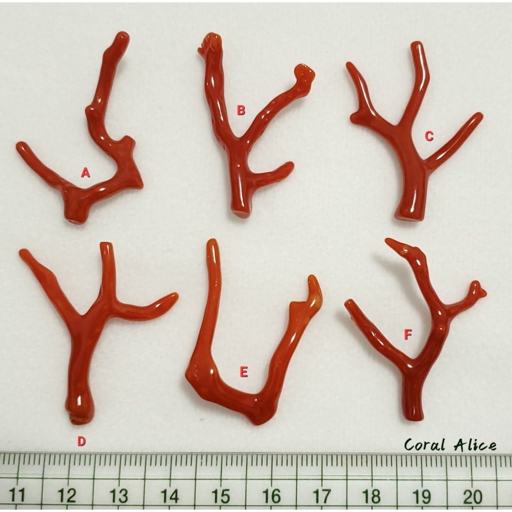 🌟Coral珊寶手作-天然沙丁珊瑚自然枝(無孔) 36.3-40.1mm CO2P1-204-細節圖11