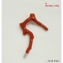 🌟Coral珊寶手作-天然沙丁珊瑚自然枝(無孔) 36.3-40.1mm CO2P1-204-規格圖11