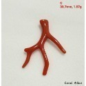 🌟Coral珊寶手作-天然沙丁珊瑚自然枝(無孔) 36.3-40.1mm CO2P1-204-規格圖11