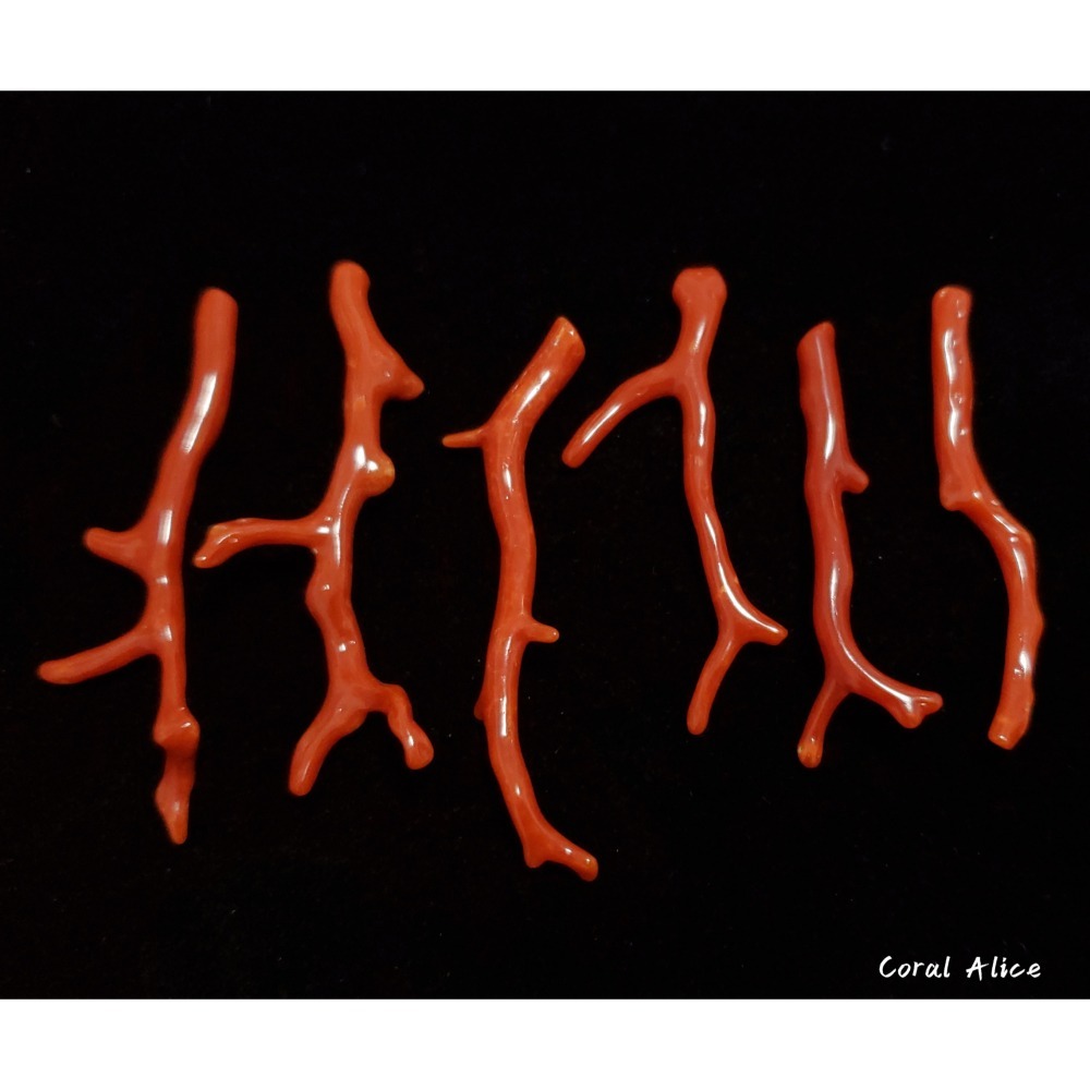 🌟Coral珊寶手作-天然沙丁珊瑚/紅珊瑚自然枝(無孔) 50.6-62.0mm CO2P1-205-細節圖5