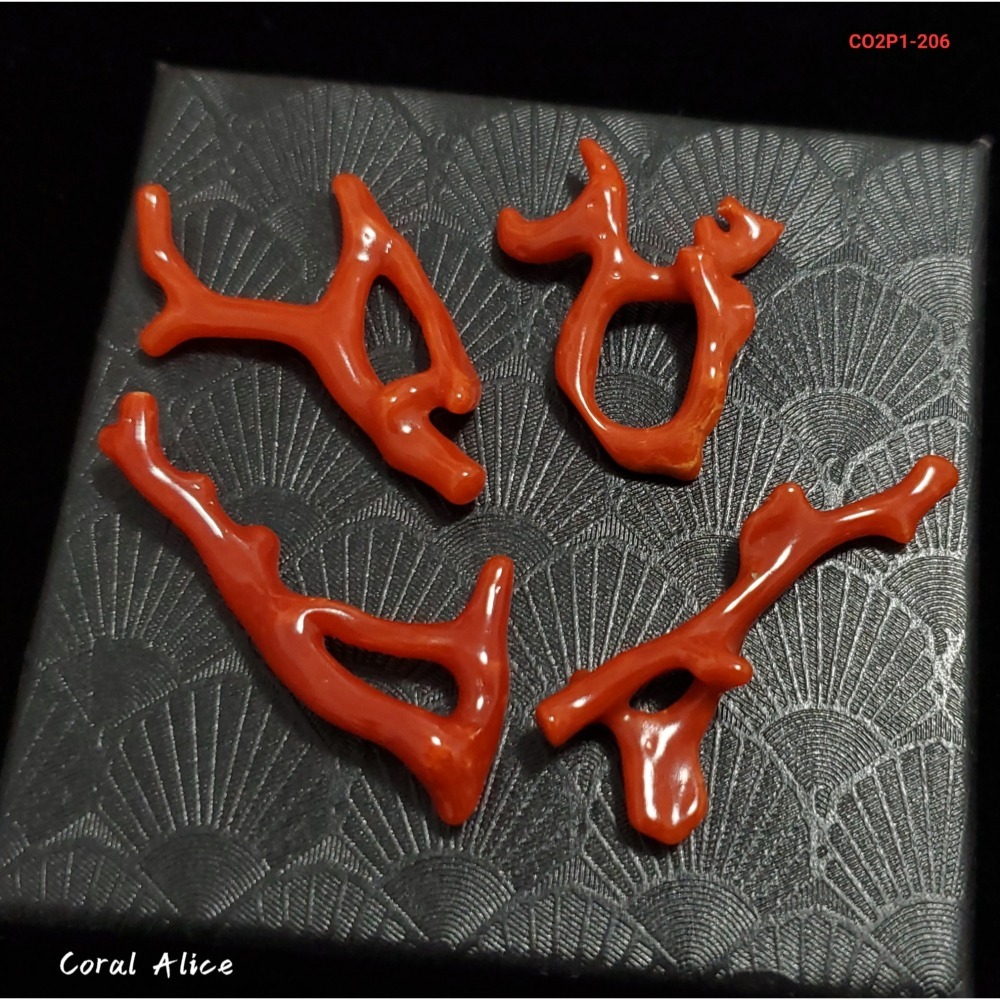 🌟Coral珊寶手作-天然沙丁珊瑚/紅珊瑚自然枝(無孔) 28.6-49.4mm CO2P1-206