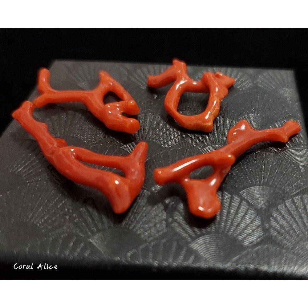 🌟Coral珊寶手作-天然沙丁珊瑚/紅珊瑚自然枝(無孔) 28.6-49.4mm CO2P1-206-細節圖2