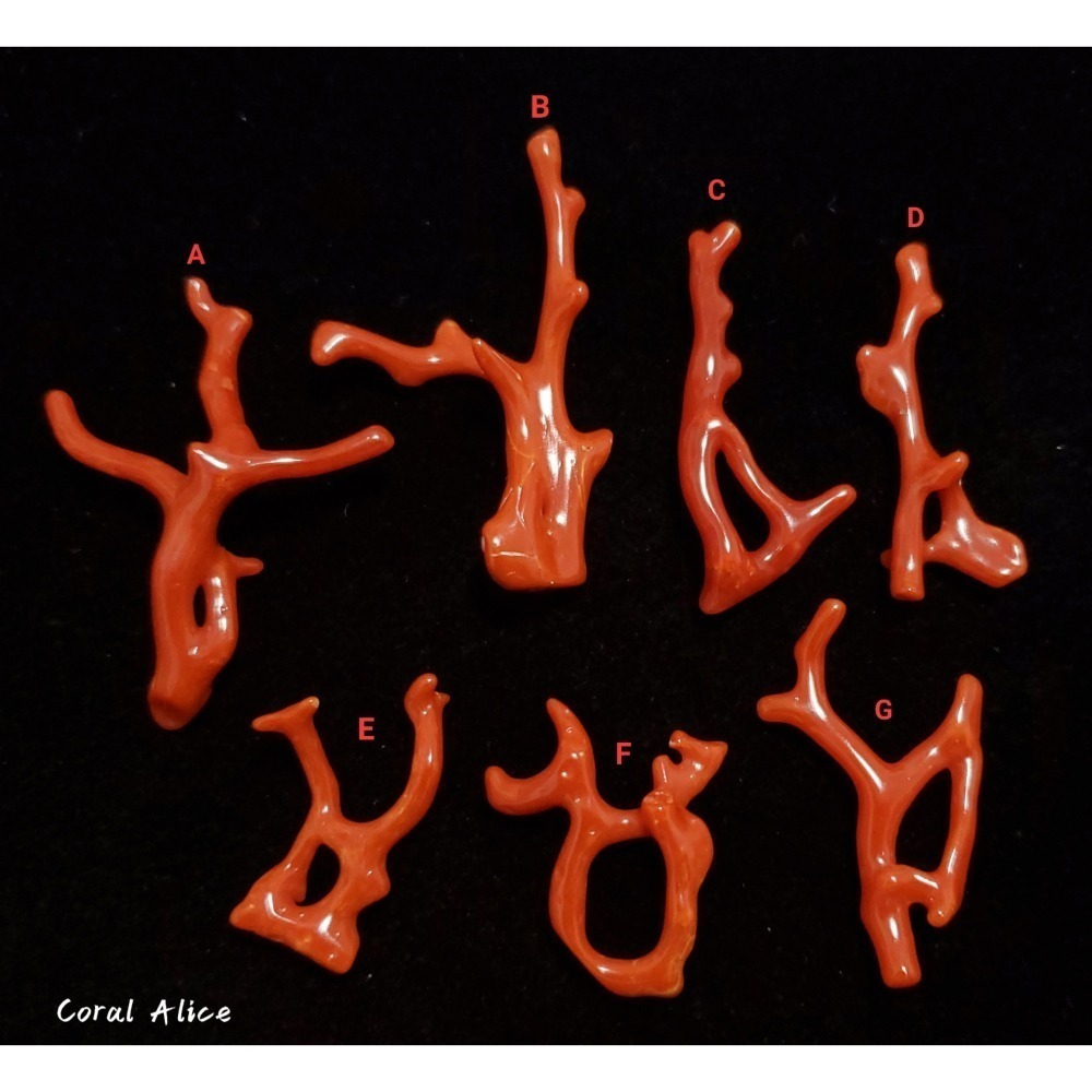 🌟Coral珊寶手作-天然沙丁珊瑚/紅珊瑚自然枝(無孔) 28.6-49.4mm CO2P1-206-細節圖3