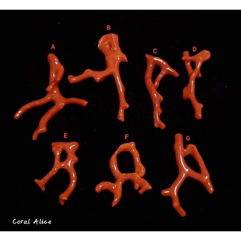 🌟Coral珊寶手作-天然沙丁珊瑚/紅珊瑚自然枝(無孔) 28.6-49.4mm CO2P1-206-細節圖4