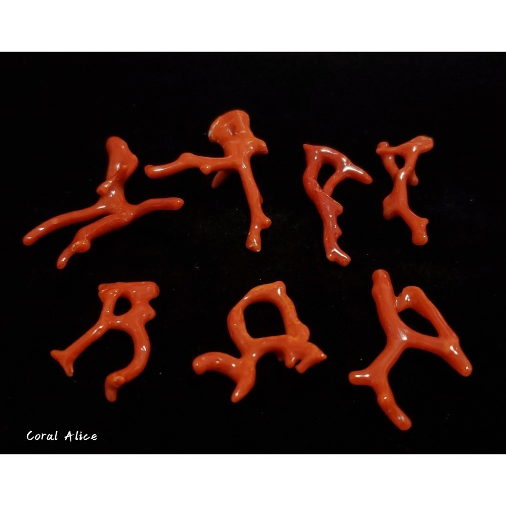 🌟Coral珊寶手作-天然沙丁珊瑚/紅珊瑚自然枝(無孔) 28.6-49.4mm CO2P1-206-細節圖6