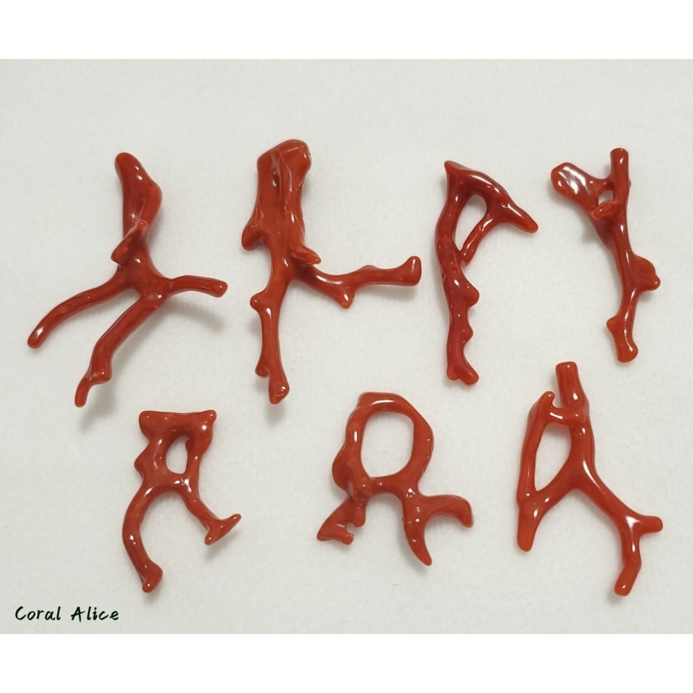 🌟Coral珊寶手作-天然沙丁珊瑚/紅珊瑚自然枝(無孔) 28.6-49.4mm CO2P1-206-細節圖8