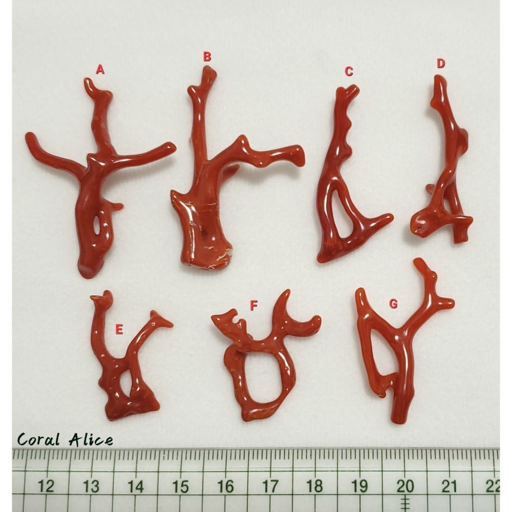 🌟Coral珊寶手作-天然沙丁珊瑚/紅珊瑚自然枝(無孔) 28.6-49.4mm CO2P1-206-細節圖10