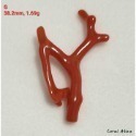 🌟Coral珊寶手作-天然沙丁珊瑚/紅珊瑚自然枝(無孔) 28.6-49.4mm CO2P1-206-規格圖10