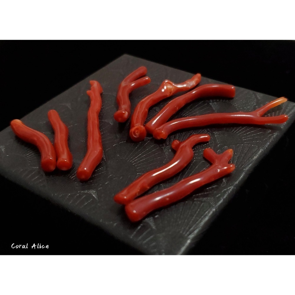 🌟Coral珊寶手作-天然阿卡珊瑚/赤血珊瑚自然枝(無孔) 27.8-50.8mm CO2P1-203-細節圖2