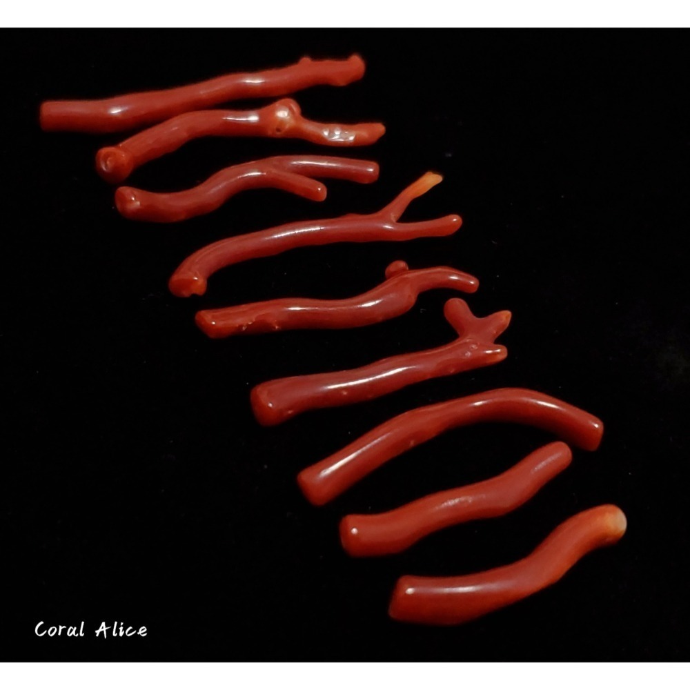 🌟Coral珊寶手作-天然阿卡珊瑚/赤血珊瑚自然枝(無孔) 27.8-50.8mm CO2P1-203-細節圖4
