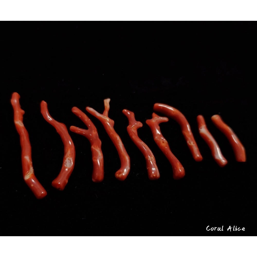 🌟Coral珊寶手作-天然阿卡珊瑚/赤血珊瑚自然枝(無孔) 27.8-50.8mm CO2P1-203-細節圖6