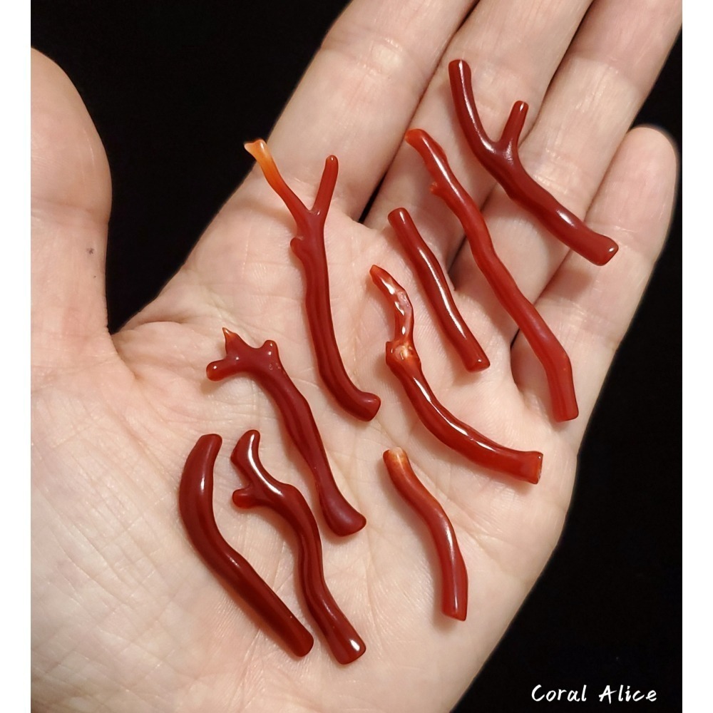 🌟Coral珊寶手作-天然阿卡珊瑚/赤血珊瑚自然枝(無孔) 27.8-50.8mm CO2P1-203-細節圖7