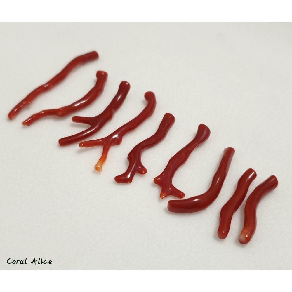 🌟Coral珊寶手作-天然阿卡珊瑚/赤血珊瑚自然枝(無孔) 27.8-50.8mm CO2P1-203-細節圖8