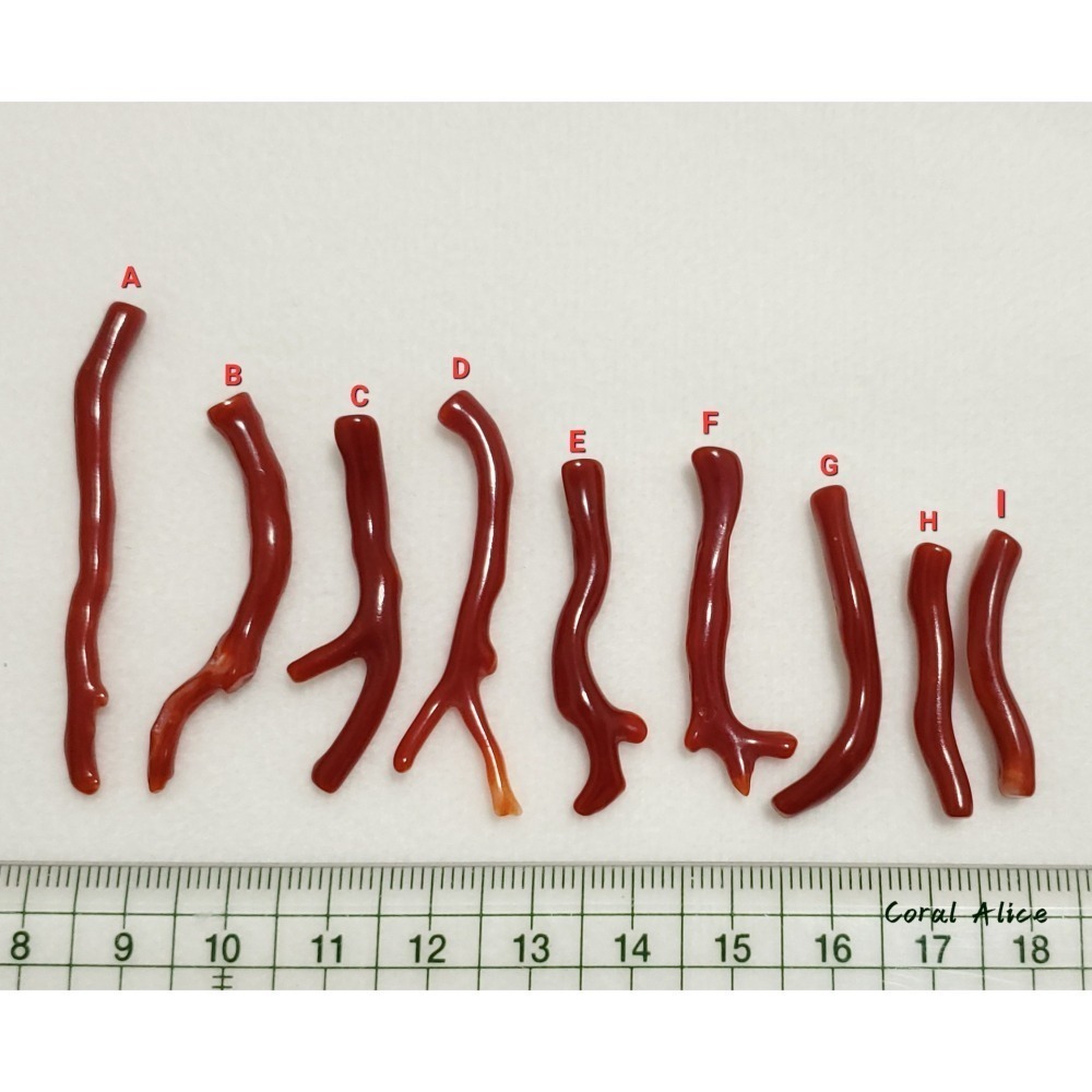 🌟Coral珊寶手作-天然阿卡珊瑚/赤血珊瑚自然枝(無孔) 27.8-50.8mm CO2P1-203-細節圖10