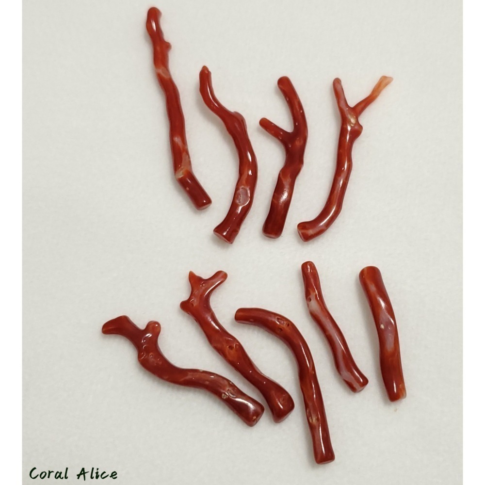 🌟Coral珊寶手作-天然阿卡珊瑚/赤血珊瑚自然枝(無孔) 27.8-50.8mm CO2P1-203-細節圖9