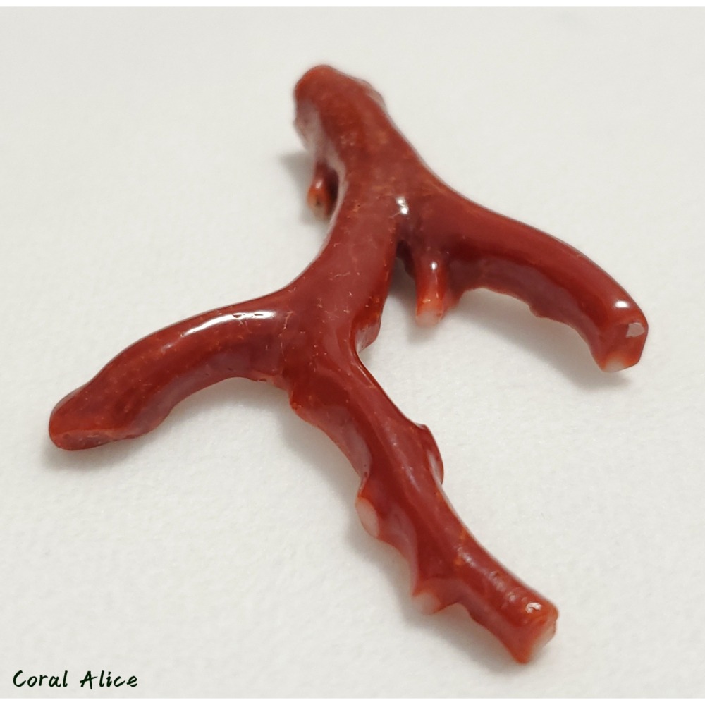 🌟Coral珊寶手作-天然阿卡珊瑚/紅珊瑚自然枝 73.8mm CO2P1-201-細節圖10
