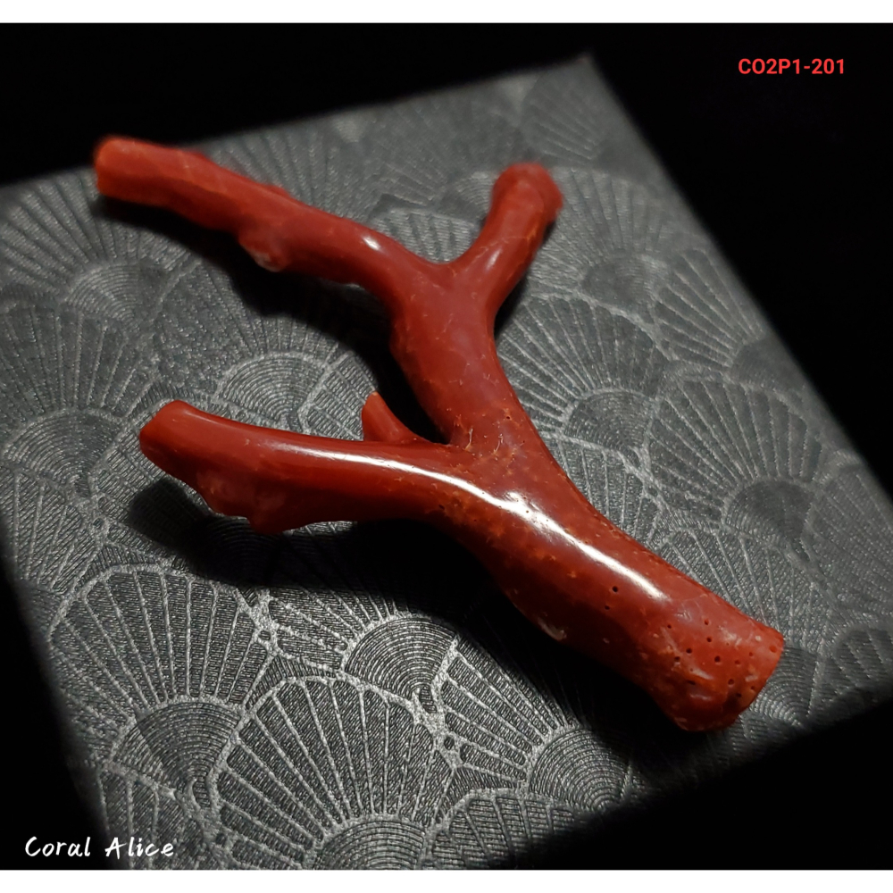 🌟Coral珊寶手作-天然阿卡珊瑚/紅珊瑚自然枝 73.8mm CO2P1-201-細節圖2