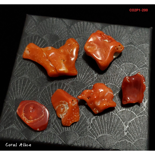 🌟Coral珊寶手作-天然阿卡珊瑚/紅珊瑚塊(無孔) CO2P1-200