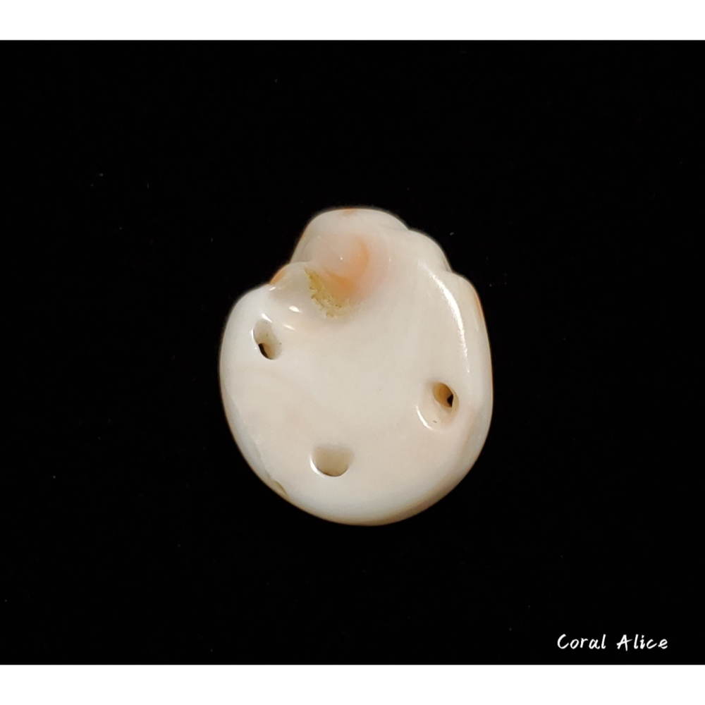 🌟Coral珊寶手作-天然深水珊瑚手工刻花件 21.4*17.8*5.9mm CO2P1-199-細節圖4