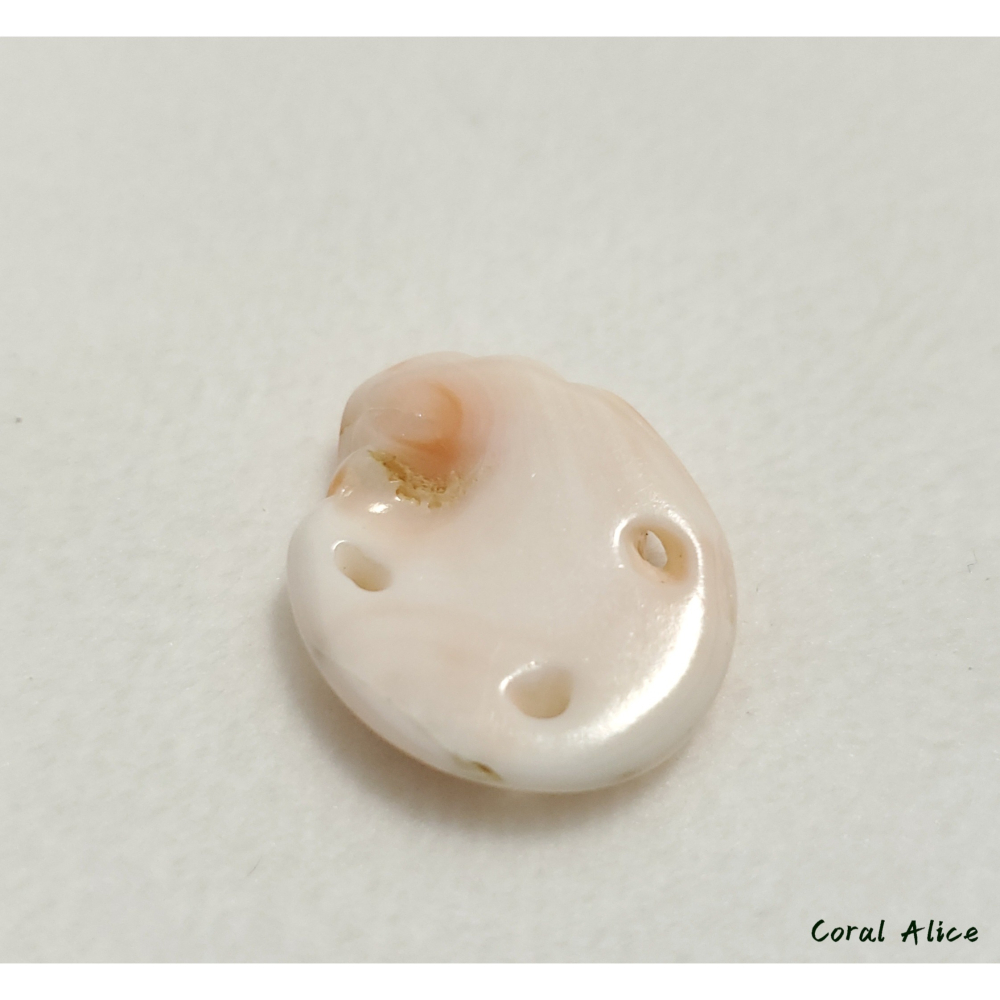 🌟Coral珊寶手作-天然深水珊瑚手工刻花件 21.4*17.8*5.9mm CO2P1-199-細節圖8
